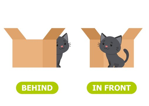 (Left) the cat is behind the box (Right) the cat is in front of the box