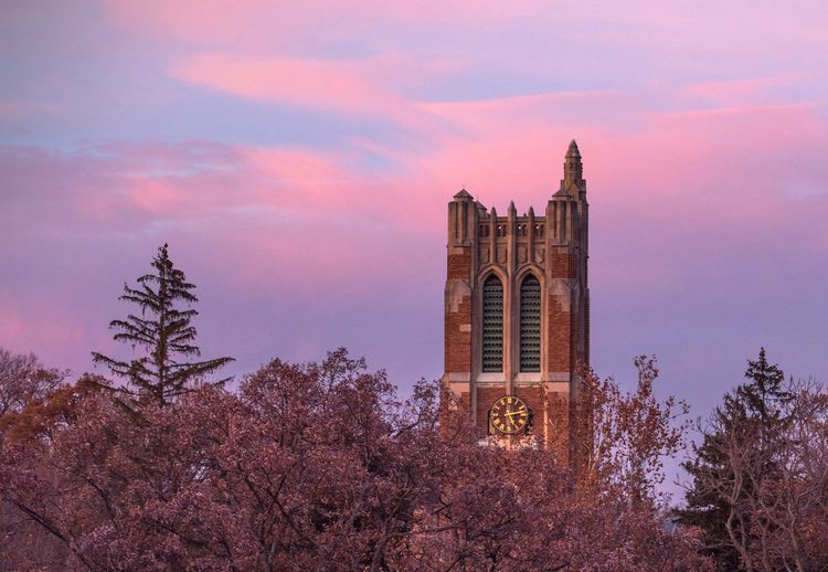 michigan-state-university-duolingo-requirements